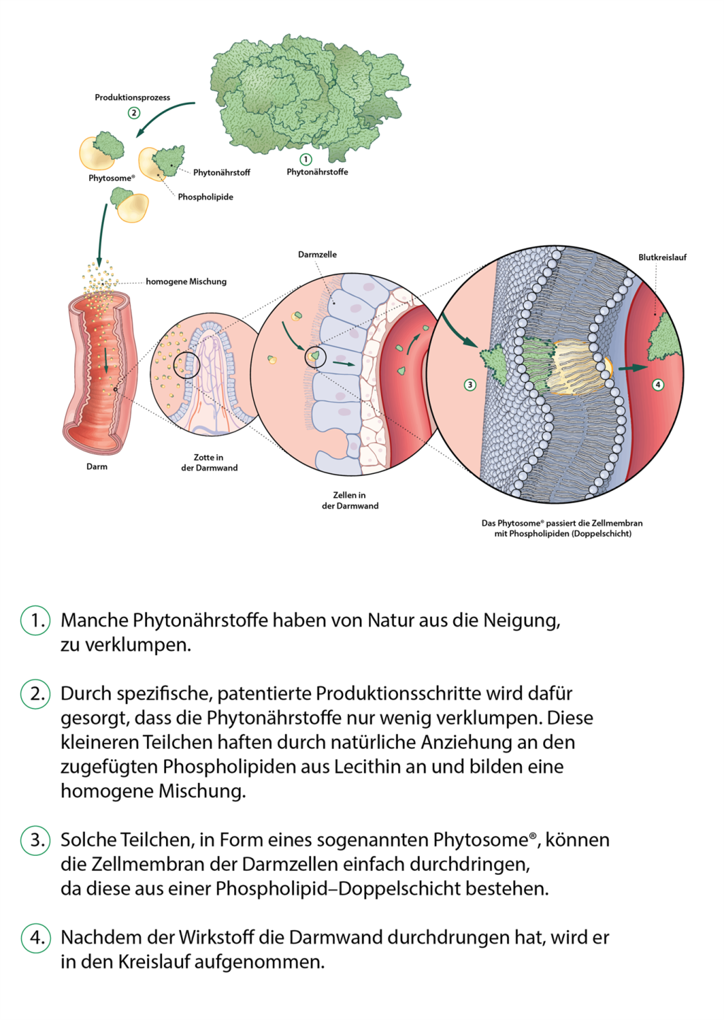 Abbildung 