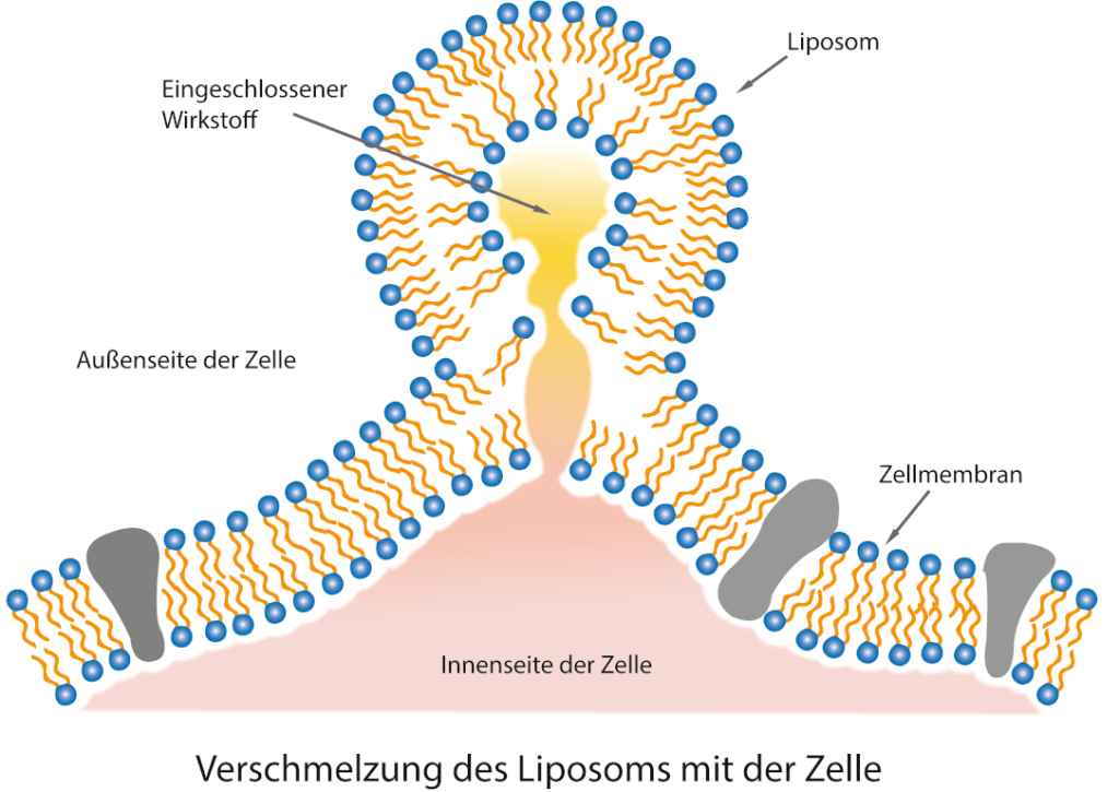 Abbildung 